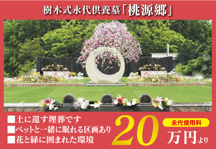 特集 サニープレイス所沢